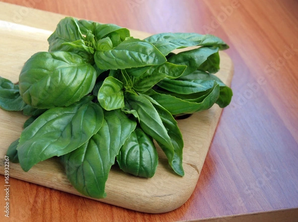 Fototapeta Fresh basil