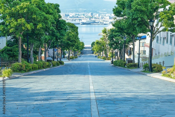 Obraz 函館の八幡坂で港を眺める