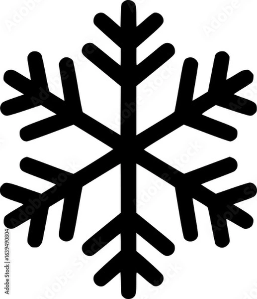 Obraz snowflake glyph flat vector icon