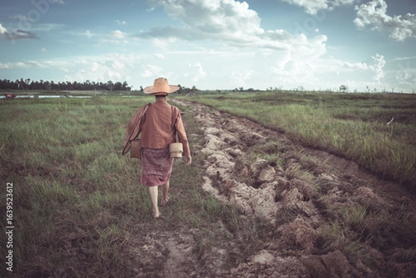 Fototapeta Woman Walking Alone on a Rural Path Through Green Fields Under a Cloudy Sky in the Countryside of Southeast Asia
