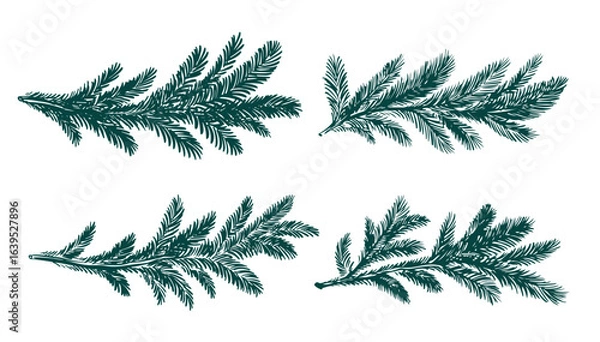 Fototapeta Green fir branch on a white background hand drawn set.