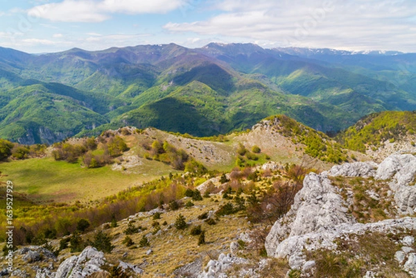 Fototapeta Dramatic scenery with clouds and lush green flora in the Carpathians Mountains in spring