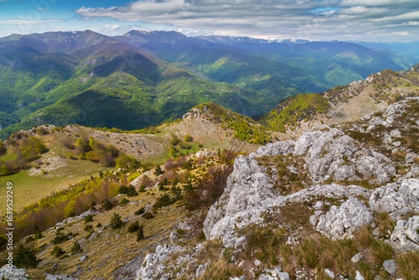 Fototapeta Dramatic scenery with clouds and lush green flora in the Carpathians Mountains in spring