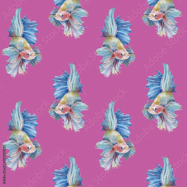 Fototapeta Seamless pattern with colorful fighting siamese fish betta splendens textured hand drawn watercolor on pink background
