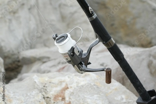 Obraz Canne à pêche avec moulinet