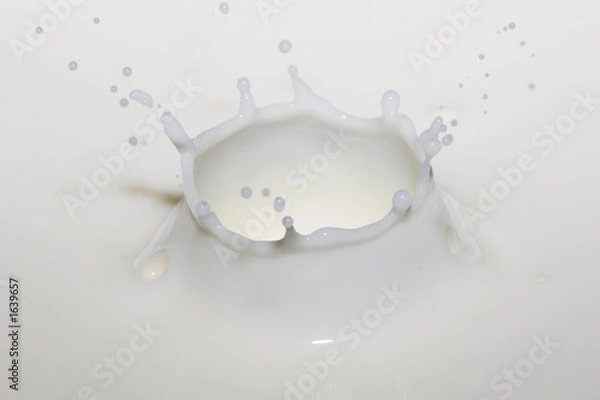 Fototapeta milk crown