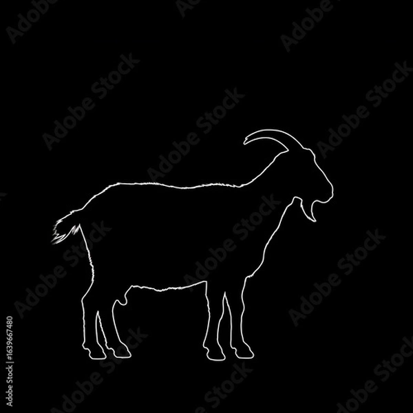 Obraz Silhouette of a goat with horns and a beard standing on a black background, rendered in a white outline.
