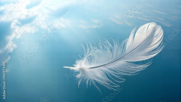 Fototapeta White feather floating in blue sky water reflection