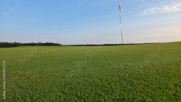 Fototapeta green grass and blue sky Golf course with a flag on the putting green, surrounded by rolling terrain and open landscape under a clear blue sky.