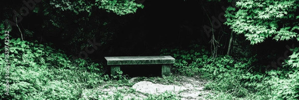 Fototapeta Stone bench in lush green forest clearing surrounded by dense foliage and shaded by tall trees creating peaceful mood