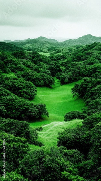 Fototapeta Lush green forest landscape with rolling hills and dense tree coverage under cloudy sky creating peaceful natural scene
