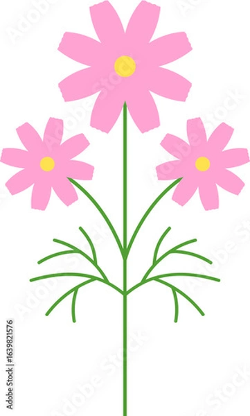 Obraz 분홍색 코스모스