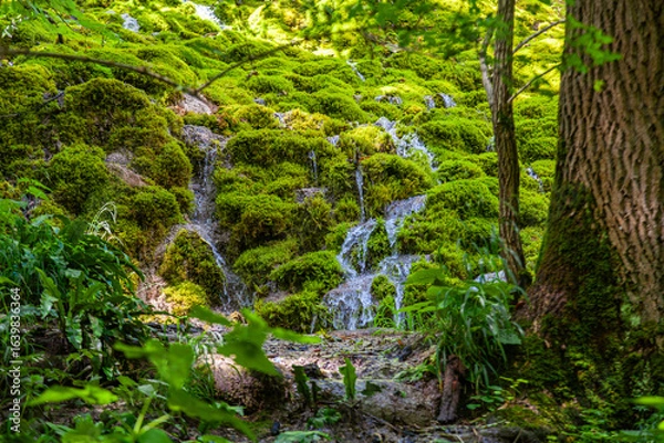 Obraz Wasser Kaskade über Moos