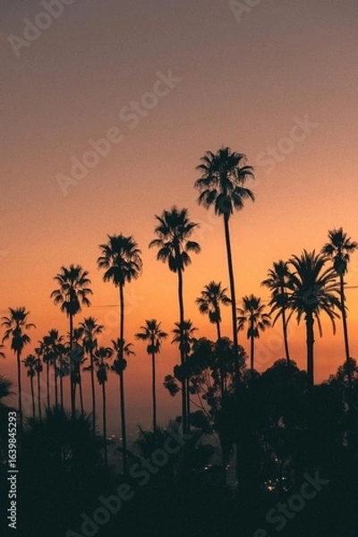 Obraz palm trees at sunset
