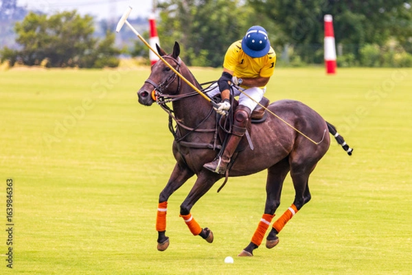 Fototapeta Polo match