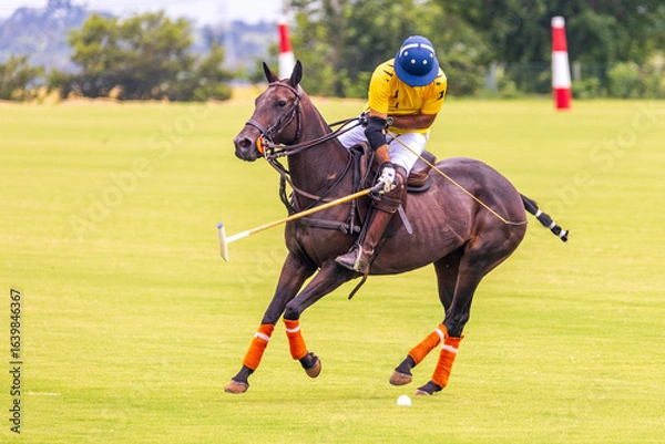 Fototapeta Polo match