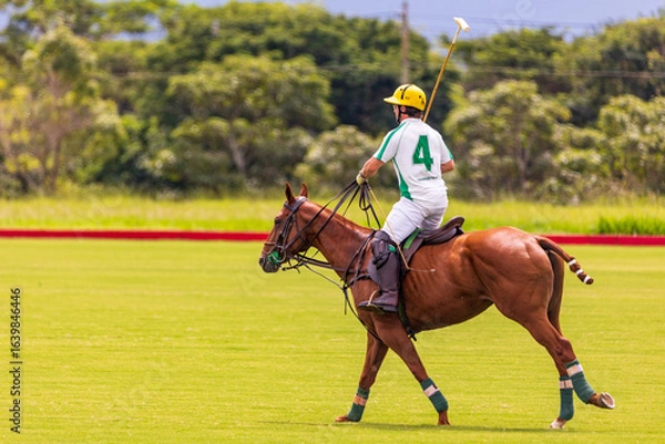 Fototapeta Polo match