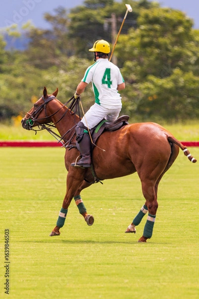 Fototapeta Polo match