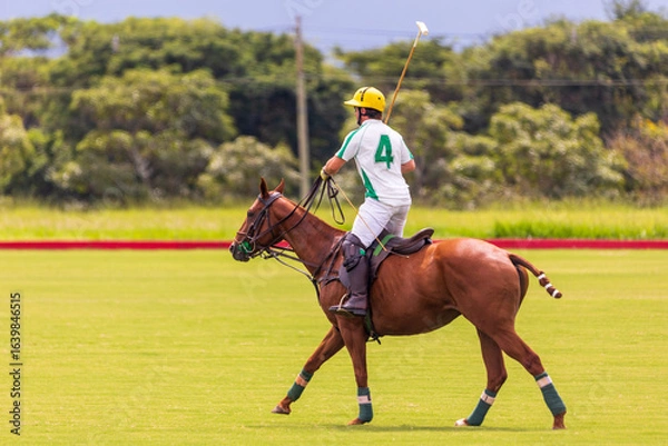Fototapeta Polo match