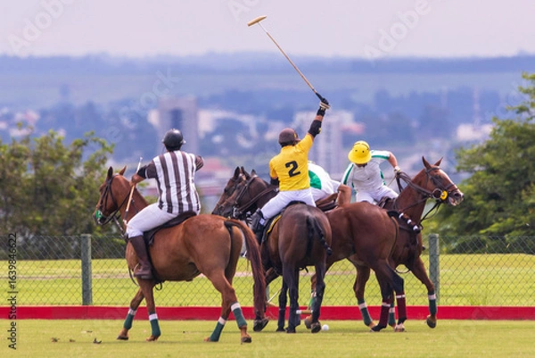 Fototapeta Polo match
