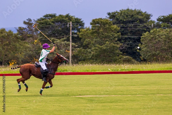 Fototapeta Polo match