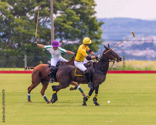 Fototapeta Polo match