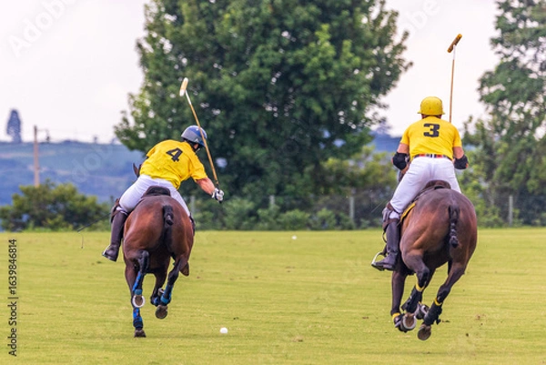 Fototapeta Polo match