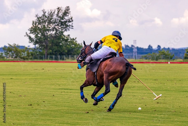 Fototapeta Polo match