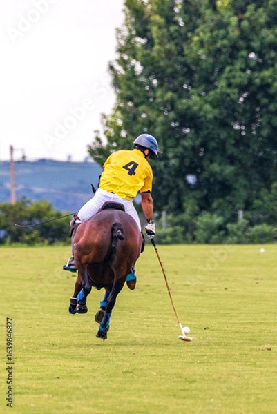 Fototapeta Polo match