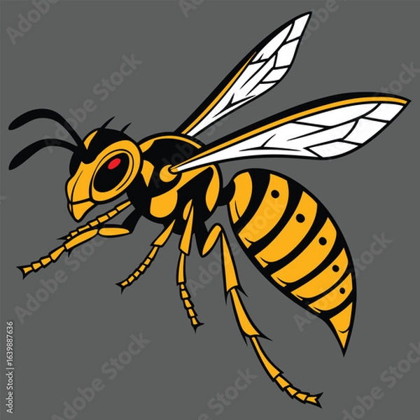 Fototapeta  Black Wasp with Transparent Wings