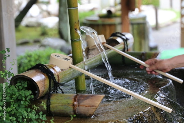 Fototapeta 神社の手水