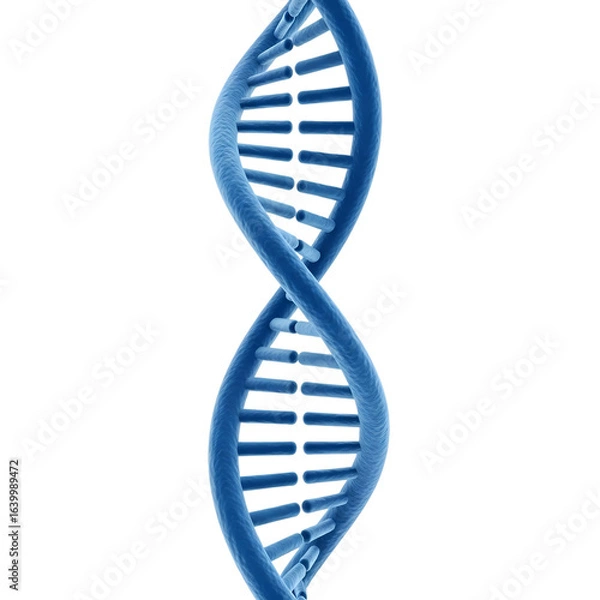Fototapeta dna strand on white background