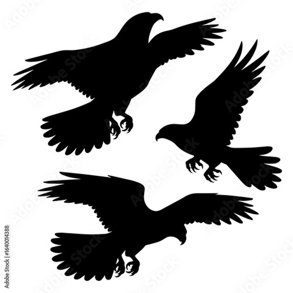 Obraz eagles silhouette Vector Logo