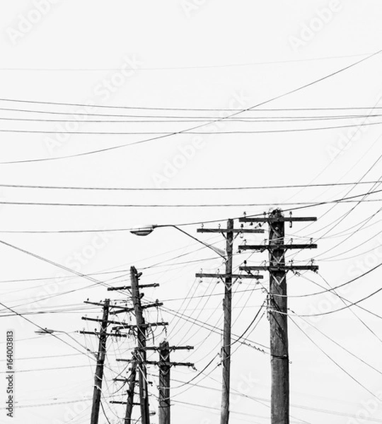 Obraz Power poles