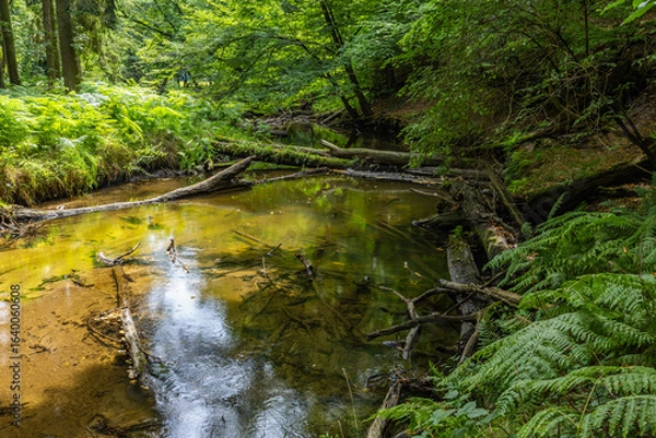 Obraz Die Arbeit des Bibers