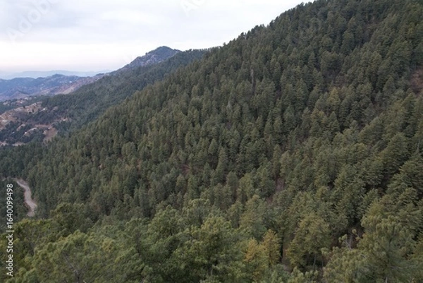 Obraz View from the top of the mountains.