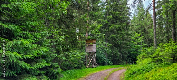 Obraz High hunting watch post on the forest path in the Black Forest in Germany.