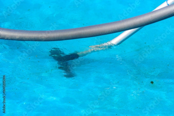 Fototapeta Close-up of a pool vacuum hose and cleaning head underwater in a bright blue swimming pool, removing dirt and debris from the bottom, concept of maintenance, cleanliness, and summer outdoor care