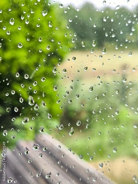 Obraz Raindrops on the window glass