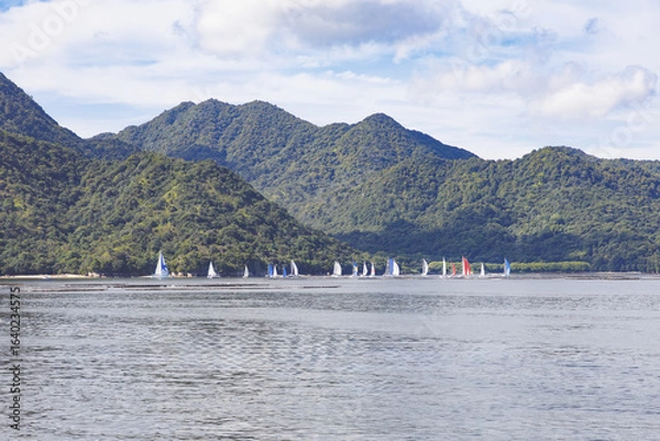 Fototapeta 厳島、沿岸に見えるカラフルなヨットのセールの群れ