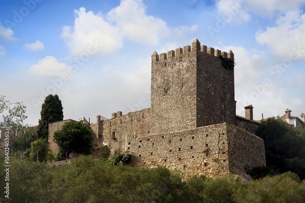Fototapeta Wonderful walls and towers in Castellar de la Frontera, an ancient town in the province of Cadiz, Spain. 