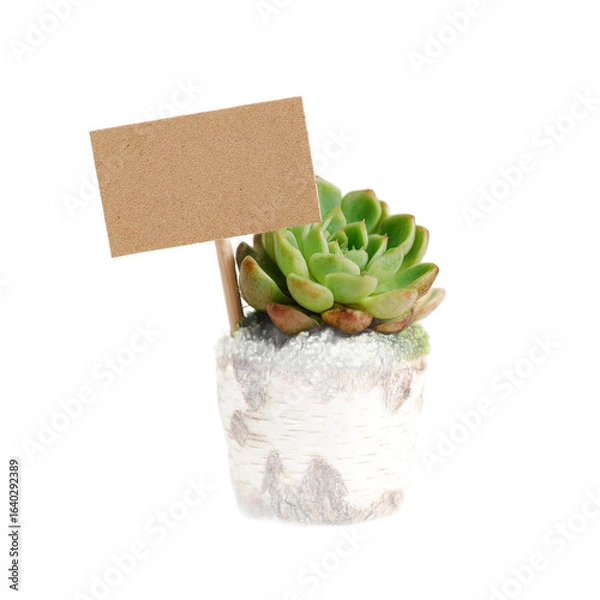 Obraz A vibrant succulent plant in a rustic wooden pot with a blank sign, set against a clean background, ideal for gardening enthusiasts or home decor inspiration