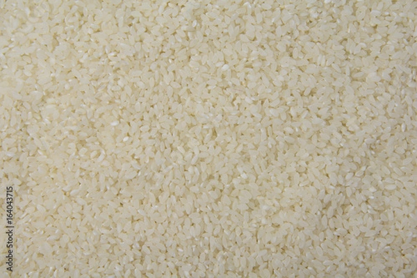 Fototapeta Rice