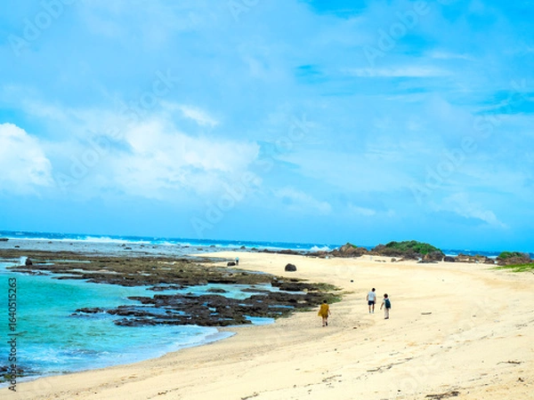 Obraz 夏の土盛海岸（鹿児島県 奄美大島）