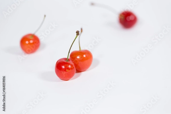 Obraz さくらんぼう