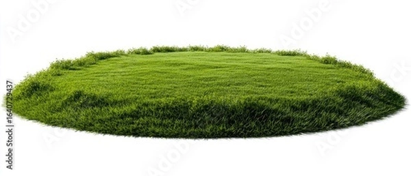 Fototapeta Circular grassy knoll