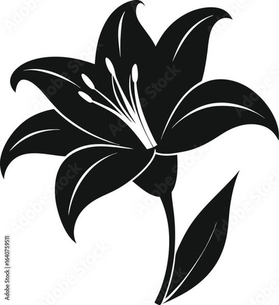 Obraz Elegant lily silhouette in black and white