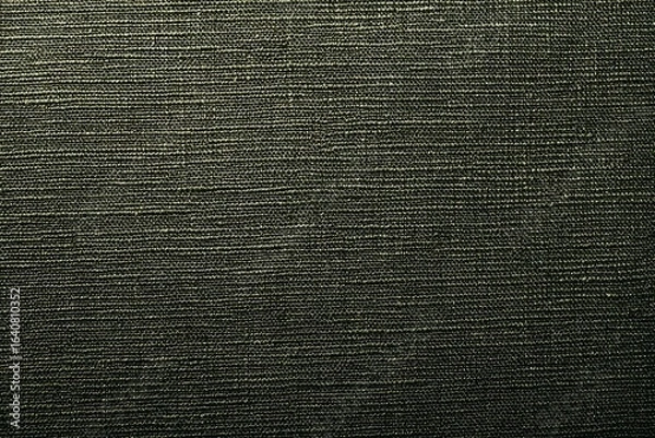 Fototapeta Close-up of a dark textured fabric.  Fine parallel lines create a woven pattern.  Muted dark gray-green tone