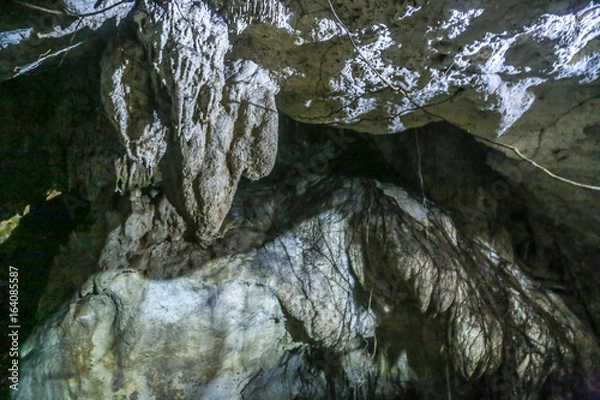 Fototapeta CENTOTE 4