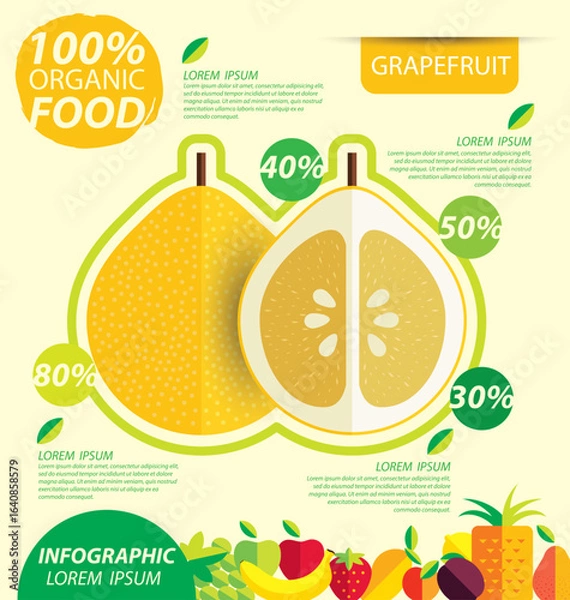 Fototapeta Grapefruit. Infographic template. vector illustration.